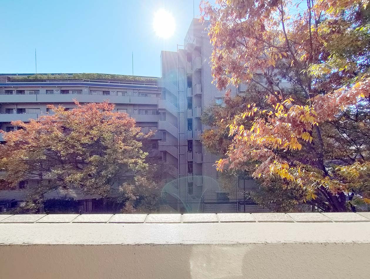 マイナビSTAYクロワール芦花公園 503 バルコニー
